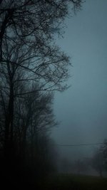 IMG_20240602_105949_976.jpg