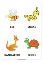 فلش-کارت-زبان-انگلیسی-حیوانات-5-333x472.jpg