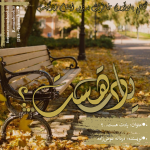 Negar_1718628886575.png