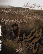 Negar_1722444863977.png