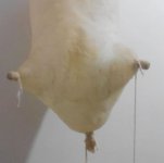 IMG_۲۰۲۴۰۸۱۹_۱۷۱۶۲۴.jpg