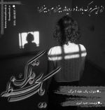 Negar_1727881401613.png