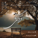 Negar_1729764838980.png