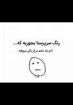 Negar_۲۰۲۱۱۰۱۱_۱۵۰۴۱۵.png