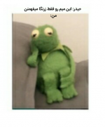 Negar_۲۰۲۱۱۰۱۱_۱۵۱۰۰۹.png