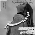 Negar_1732796446150.png