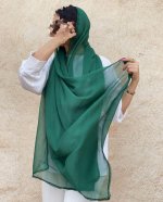 Majlisi-silk-shawl-18.jpg