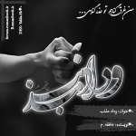 Negar_1732962264100.png
