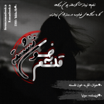 Negar_1734253434843.png