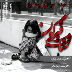 Negar_1734262033526.png