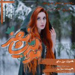 Negar_1740688572575.png