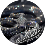 Negar_1740690841500.png