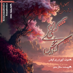 Negar_1740849980137.png