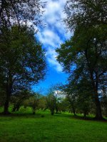 c88bd18b-ebdf-4016-b1f5-4e8a748a733f.jpeg