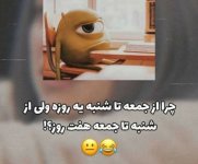 IMG (95).jpg