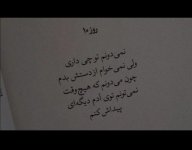 IMG_3911.jpeg