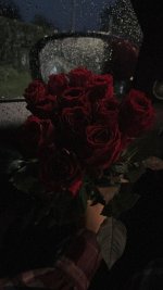 IMG_20240227_234453.jpg