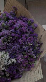 IMG_20240227_234451.jpg