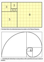 c1d53bacc534ba57e51f93ab33a82a18.jpg
