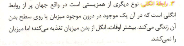 Screenshot 2025-08-12 070821.png