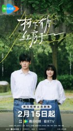 Always-Home_8_gallery-576x1024.jpg