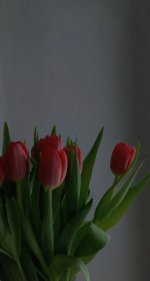 f9eeecd43fb3e858179075a8f37ea95b.jpg
