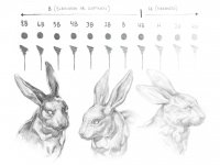 xyYJbJfuZTY9TqC5GHXzng-1024x768.jpg