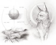edges-in-drawing-1024x823.jpg