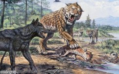 2-Dire-Wolf-rwordnegar6.jpg