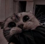 Screenshot_20211121-095526_Chrome.jpg