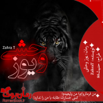 Negar_۲۰۲۱۱۱۱۶_۱۶۱۵۴۰.png