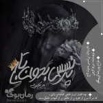 Negar_۲۰۲۱۱۲۰۳_۱۷۳۳۳۴.png