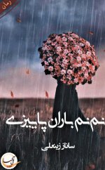 bbebdfefa4dd49fe91ca910a038dbb0e.jpg