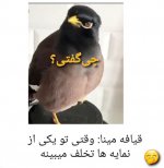 ۲۰۲۱۱۲۱۱_۰۵۴۰۴۰.jpg