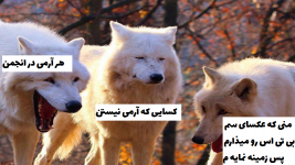 125332.png