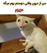 Negar_۲۰۲۱۱۲۱۲_۲۲۰۳۲۰.png