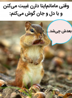 Negar_۲۰۲۱۱۲۱۳_۰۶۵۵۳۴.png