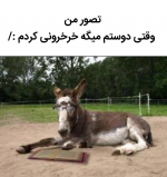 Negar_۲۰۲۱۱۲۱۳_۱۸۴۸۰۸.png