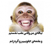 Negar_۲۰۲۱۱۲۱۳_۱۸۵۵۰۷.png
