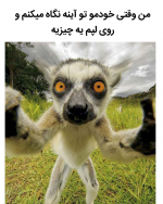Negar_۲۰۲۱۱۲۱۳_۱۸۵۰۴۵.png