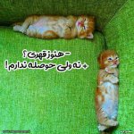 عکس-پروفایل-قهر.jpg