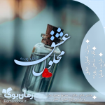 Negar_۲۰۲۱۱۲۱۹_۱۹۲۹۵۸.png