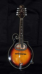 144px-Paris_Swing_Samois_Mandolin_MS-130-SN.jpg
