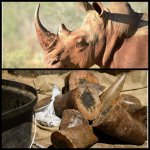 IMG_20211231_021643_755.jpg IMG_20211231_021643_755.jpg