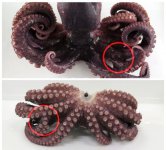 IMG_20220101_233328_114.jpg IMG_20220101_233328_114.jpg