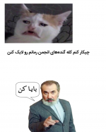 Negar_۲۰۲۲۰۱۰۳_۱۰۳۱۳۴.png