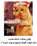 Negar_۲۰۲۲۰۱۰۳_۱۸۳۹۵۵.png