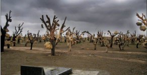 IMG_20220109_173131_541.jpg IMG_20220109_173131_541.jpg