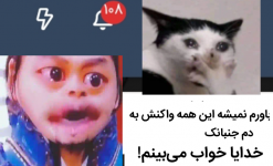 Negar_۲۰۲۲۰۱۲۱_۱۸۴۱۲۴.png