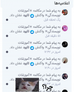 Negar_۲۰۲۲۰۱۲۱_۱۸۳۸۱۶.png